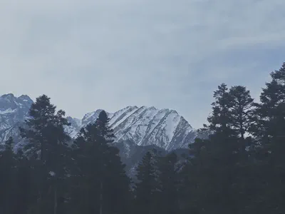 山林